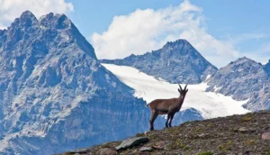Cosa Vedere a Livigno non solo mercatini di Natale