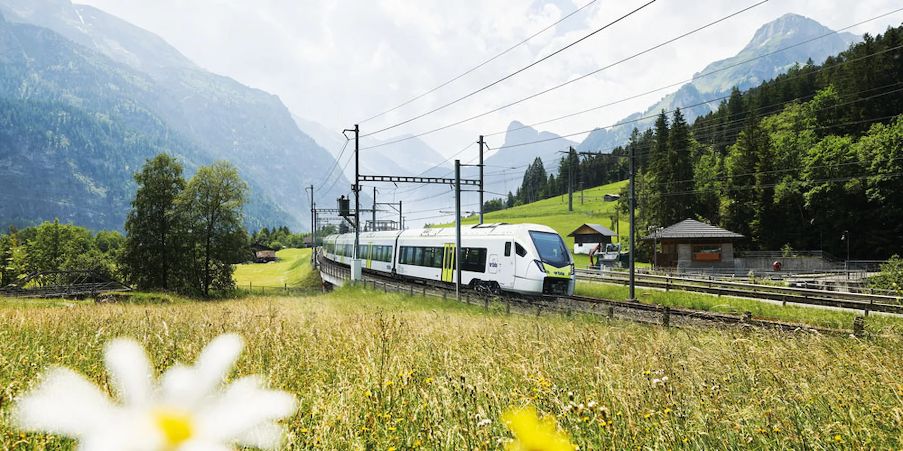 Mercatini di Natale di Berna e Trenino Verde delle Alpi Mercatini di Natale di Berna e Trenino Verde delle Alpi