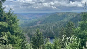 La Foresta Nera, non solo Mercatini Tra Natura, Storia e Tradizione